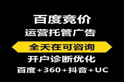 百度竞价排名优化技巧与成功案例分享